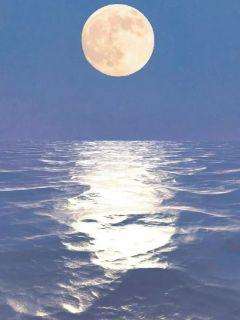 ����֮��Ѫ��Ӱȫ������Ķ�