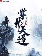 神奇宝贝:华丽大赛之巅峰对决全文免费阅读