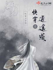 �ų轿������ȫ������Ķ�