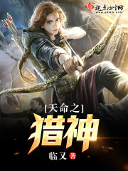 ��굤��ȫ������Ķ�