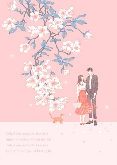 �ۿ촩�ݴ������ֺڻ���ȫ������Ķ�