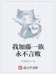 ��ǿ׸��-������ȫ������Ķ�