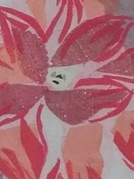 �캣��;ȫ������Ķ�