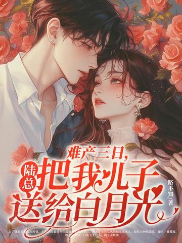 难产三日,陆总把我儿子送给白月光全文免费阅读