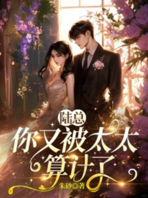 ½�ܣ����ֱ�̫̫�����ȫ������Ķ�