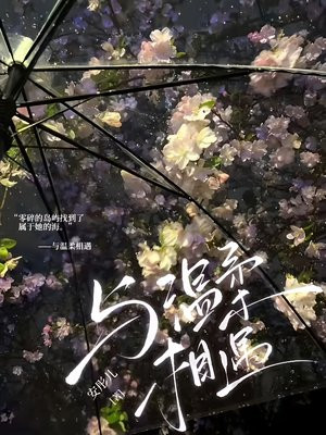 ����������ȫ������Ķ�