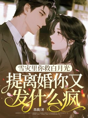 雪灾里你救白月光,提离婚你又发什么疯全文免费阅读