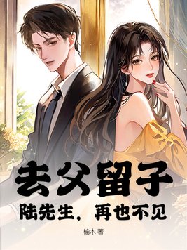 去父留子,陆先生,再也不见!全文免费阅读