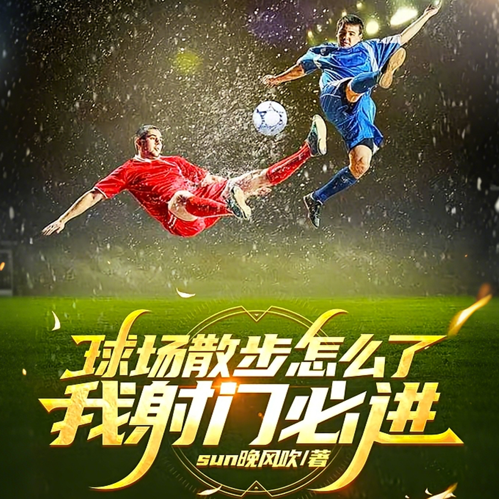 球场散步怎么了,我射门必进全文免费阅读