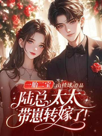 一胎二宝:陆总,太太带崽转嫁了!全文免费阅读