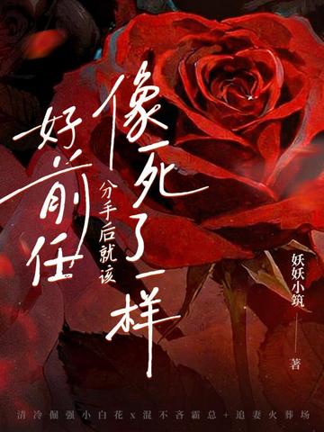 ��ǰ�Σ����ֺ�͸�������һ��ȫ������Ķ�