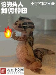 �����½�����������֯ȫ������Ķ�