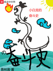 ������Ԫȫ������Ķ�